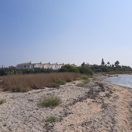 Villa Anastassia Agia Napa Exterior foto